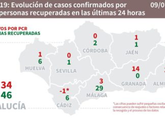 Datos Covid19 día 9 de julio, sigue activo brote de Ronda, Axarquía, Casabermeja y 109 Málaga capital (Cruz Roja)