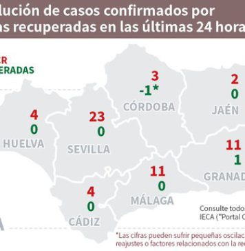 Información sobre datos de Covid19 y Brotes en Andalucía del 26 de julio