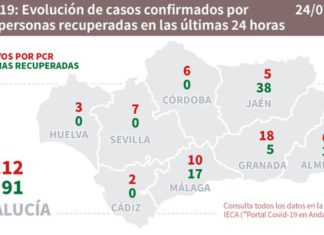 Datos Covid19 y brotes en Andalucía del día 24 de julio