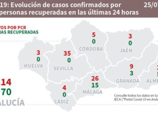 Datos Covid19 en Andalucía del día 25 de julio y Actualización de Brotes