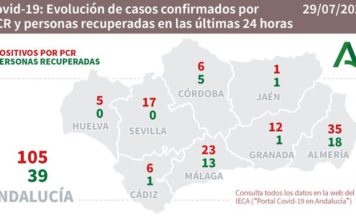 Datos Covid19 y brotes en Andalucía del 29 de julio