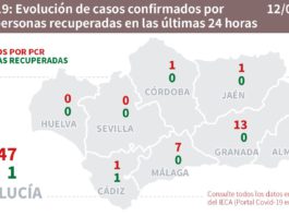 Datos Covid19 del 12 julio