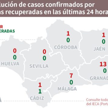 Datos Covid19 del 12 julio