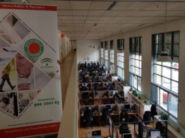 El Servicio Andaluz de Teleasistencia refuerza el seguimiento de las personas mayores y dependientes durante las alertas por calor