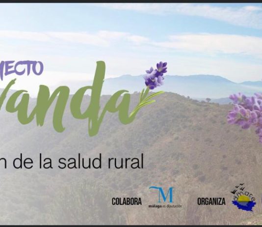 La Diputación impulsa un proyecto para favorecer la salud física y emocional entre las personas mayores de la provincia