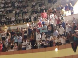 Izquierda Unida: Corridas de Toros durante la pandemia