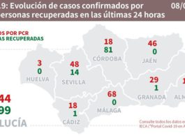 Datos Covid19 y brotes del 8 de Agosto en Andalucía