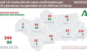 Datos Covid19 y brotes del 8 de Agosto en Andalucía