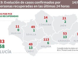 Actualización sobre Covid19 y Brotes en Andalucía del 14 de agosto