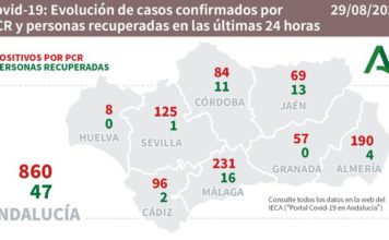 Datos Covid19 y Brotes en Andalucía del 29 de agosto