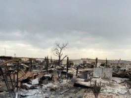 La Diputación ofrece su apoyo al Ayuntamiento de Mollina y a los afectados por el incendio en un camping del municipio