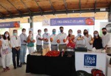 Salado reivindica la importancia del sector agroalimentario para la reactivación económica de la provincia