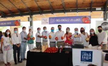 Salado reivindica la importancia del sector agroalimentario para la reactivación económica de la provincia