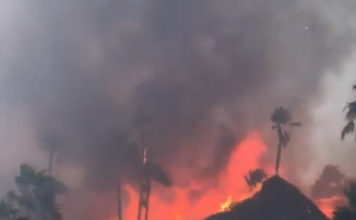 Ocho dotaciones del Consorcio Provincial de Bomberos trabajan en las labores de extinción de un incendio forestal en Estepona
