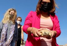 La consejera de Desarrollo Sostenible suelta dos tortugas boba recuperadas en el CEGMA del Estrecho