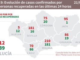 Datos Covid19 y Brotes en Andalucía y Málaga del 21 de septiembre