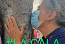 Nota de Prensa del Movimiento Vecinal «La Cala no se Tala»