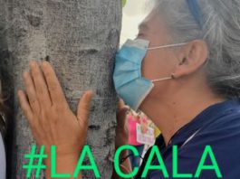 (La Cala no se Tala) Reunión entre los representantes vecinales y el Ayuntamiento