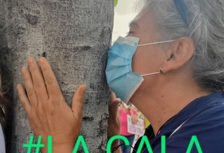 LA CALA NO SE TALA. Nota de Prensa 1 de Octubre de 2020