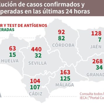 Datos Covid19 11 de octubre