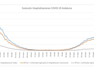 Datos Covid19 24 de octubre
