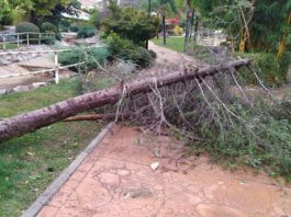 Emergencias 112 Andalucía gestiona más de 130 incidencias por lluvias y viento desde el comienzo de la borrasca.