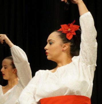 Aniversario Flamenco como patrimonio humanidad en Marbella