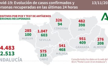Información sobre Covid19 de La Junta de Andalucía del 13 de noviembre