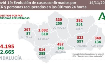 Información diaria sobre Covid19 en Andalucía del 14 de noviembre