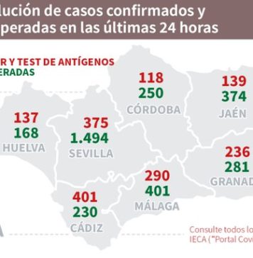 Datos Covid19 del 28 de noviembre