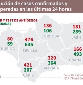 Datos Covid 19 en Andalucía del 17 de noviembre