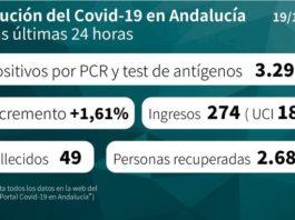 Datos Covid19 en Andalucía del 19 de noviembre