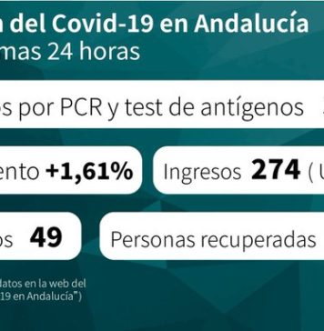Datos Covid19 en Andalucía del 19 de noviembre