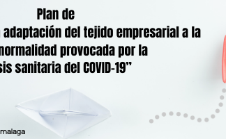 La Diputación de Málaga lanza un plan de formación para ayudar al tejido empresarial a adaptarse a la nueva realidad surgida tras el Covid