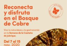 Jubrique concluye con éxito sus fiestas de la castaña con el apoyo de la Diputación de Málaga