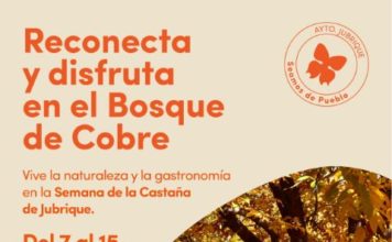 Jubrique concluye con éxito sus fiestas de la castaña con el apoyo de la Diputación de Málaga