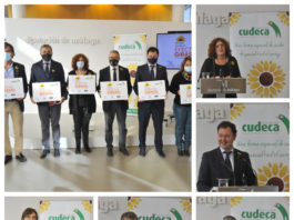 La Diputación se suma al Efecto Girasol de Cudeca, que pretende recaudar 185.000 euros