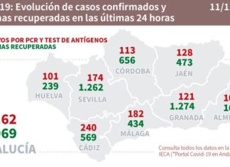 Datos Covid19 en Andalucía del 11 de diciembre
