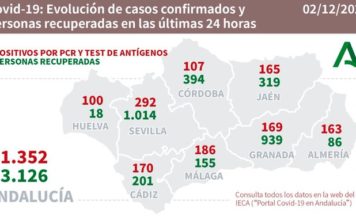 Datos Covid 19 en Andalucía del 2 de Diciembre