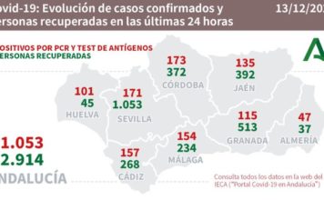 Datos Covid19 en Andalucía del 13 de Diciembre