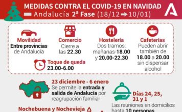 Datos Covid19 en Andalucía del 20 de diciembre