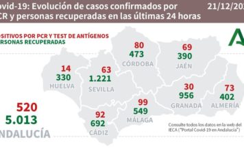 Datos Covid19 del 21 de diciembre en Andalucía