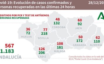 Datos Covid19 en Andalucía del 28 de Diciembre