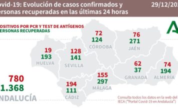 Datos Covid19 en Andalucía del 29 de diciembre