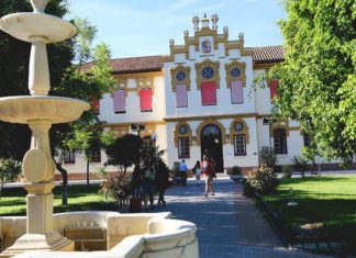 Apoyo a la Cultura y la Formación Artística