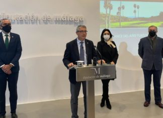 La Costa del Sol vive el peor año turístico de su historia y pierde 9,3 millones de turistas y 10.352 millones de euros, una caída del 71%