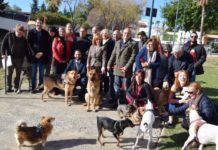 El PSOE exige al Ayuntamiento “mano dura” con el lanzamiento de petardos en Málaga