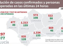 Datos Covid19 del 16 de enero de 2021 en Andalucía
