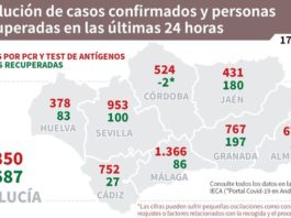 Datos Covid19 en Andalucía del 17 de enero de 2021