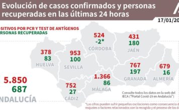 Datos Covid19 en Andalucía del 17 de enero de 2021